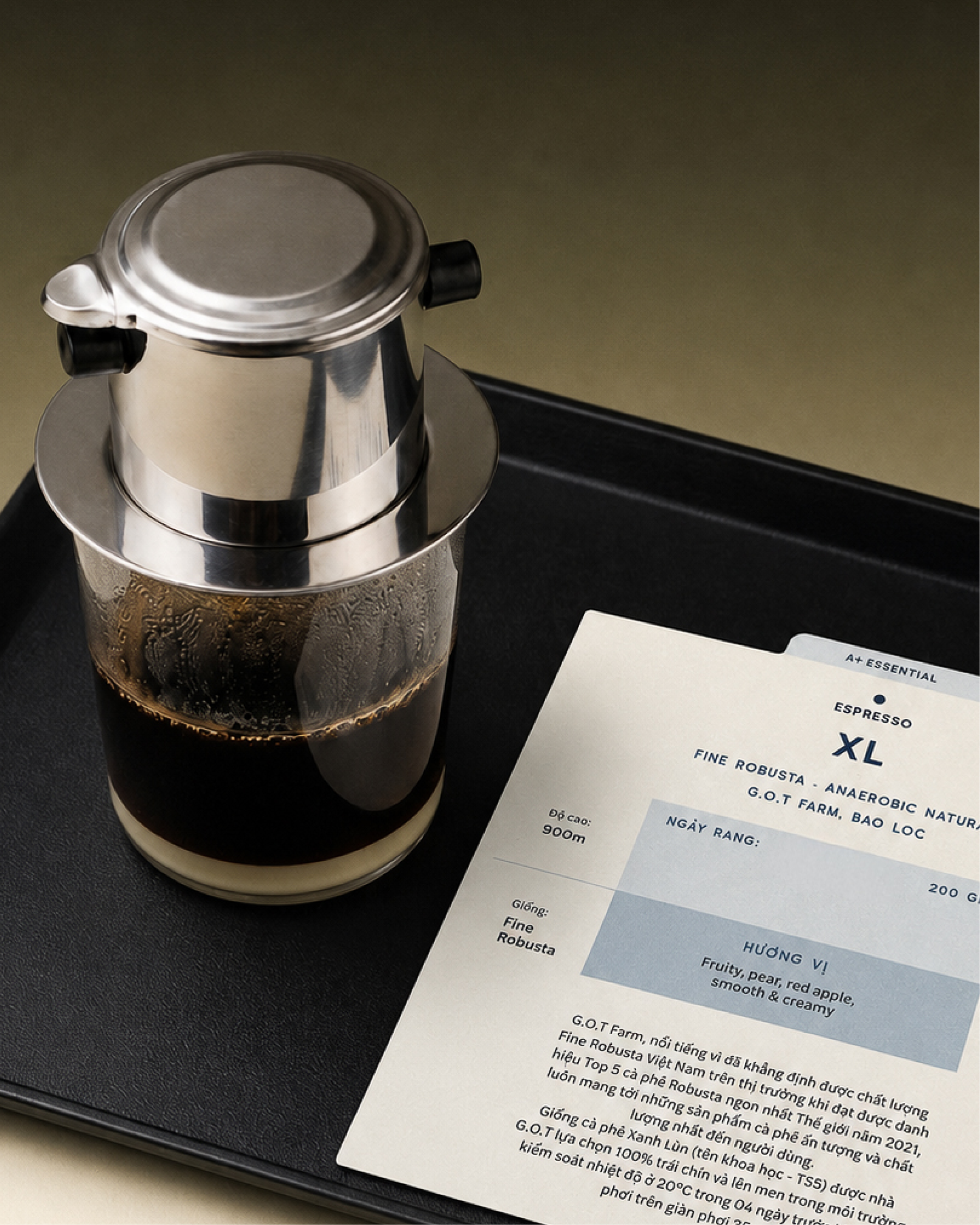 XL Fine Robusta - Bảo Lộc, Lâm Đồng - Sơ chế Anaerobic Natural - Le J'