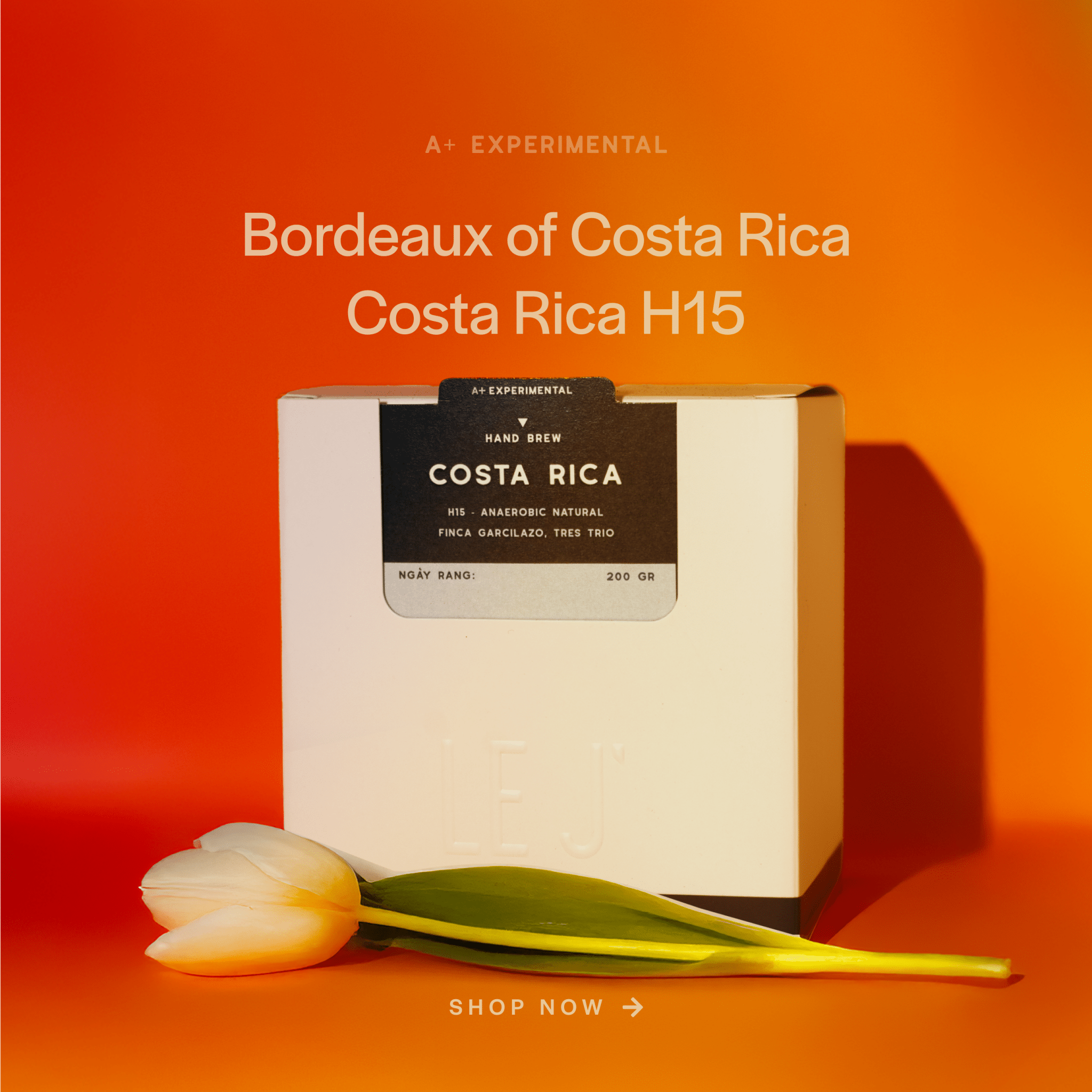 Costa Rica H15 - Le J'