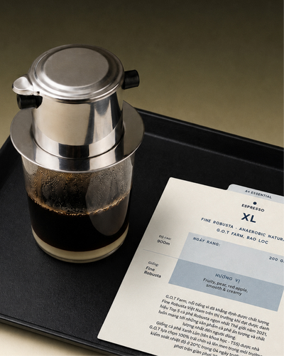 XL Fine Robusta - Bảo Lộc, Lâm Đồng - Sơ chế Anaerobic Natural - Le J'