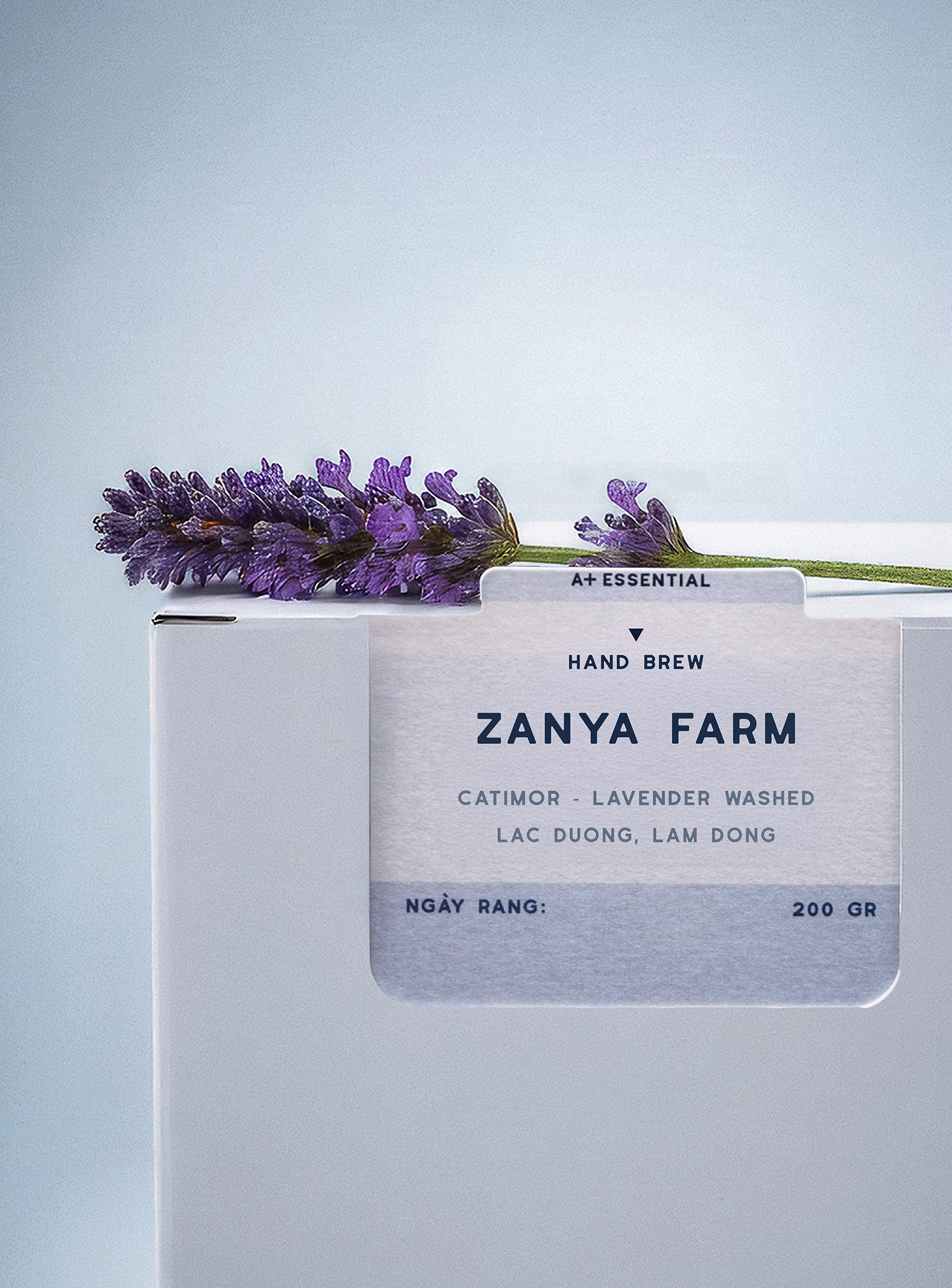 Zanya Catimor Lavender