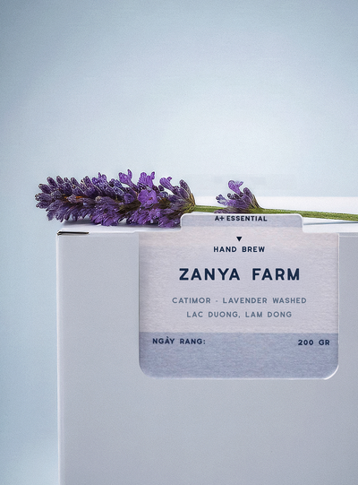 Zanya Catimor Lavender Washed - Lạc Dương, Lâm Đồng - Le J'