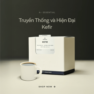 Kefir Fine Robusta - Gia Lai, Việt Nam - Sơ chế Kefir Natural - Le J'